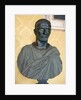 Capitoline Brutus by Anonymous