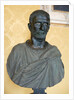 Capitoline Brutus by Anonymous