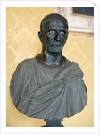 Capitoline Brutus by Anonymous