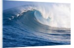 Breaking waves at a surfing area called Peahi, north shore of Maui, Hawaii by Anonymous