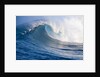 Breaking waves at a surfing area called Peahi, north shore of Maui, Hawaii by Anonymous