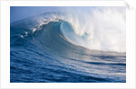 Breaking waves at a surfing area called Peahi, north shore of Maui, Hawaii by Anonymous