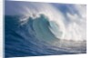 Breaking waves at a surfing area called Peahi, north shore of Maui, Hawaii by Anonymous