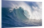 Breaking waves at a surfing area called Peahi, north shore of Maui, Hawaii by Anonymous