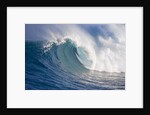 Breaking waves at a surfing area called Peahi, north shore of Maui, Hawaii by Anonymous