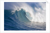 Breaking waves at a surfing area called Peahi, north shore of Maui, Hawaii by Anonymous