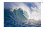 Breaking waves at a surfing area called Peahi, north shore of Maui, Hawaii by Anonymous