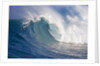 Breaking waves at a surfing area called Peahi, north shore of Maui, Hawaii by Anonymous