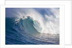 Breaking waves at a surfing area called Peahi, north shore of Maui, Hawaii by Anonymous