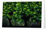 Lush green trees in Chiang Mai in Thailand by Anonymous