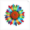 Brightly colored daisy by Anonymous