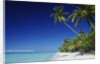 Tetiaroa, Tahiti by Anonymous