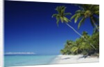 Tetiaroa, Tahiti by Anonymous