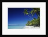 Tetiaroa, Tahiti by Anonymous