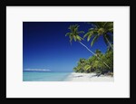 Tetiaroa, Tahiti by Anonymous