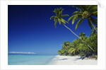 Tetiaroa, Tahiti by Anonymous