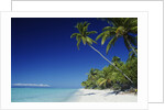 Tetiaroa, Tahiti by Anonymous