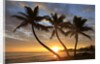 Sunrise, Windward Oahu, Hawaii by Anonymous