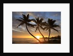 Sunrise, Windward Oahu, Hawaii by Anonymous