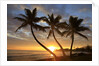 Sunrise, Windward Oahu, Hawaii by Anonymous