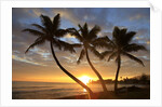 Sunrise, Windward Oahu, Hawaii by Anonymous
