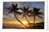 Sunrise, Windward Oahu, Hawaii by Anonymous
