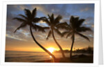 Sunrise, Windward Oahu, Hawaii by Anonymous