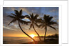 Sunrise, Windward Oahu, Hawaii by Anonymous