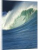 Wave, Waimea, North Shore, Hawaii by Anonymous