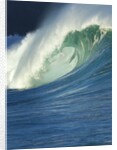 Wave, Waimea, North Shore, Hawaii by Anonymous