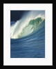 Wave, Waimea, North Shore, Hawaii by Anonymous