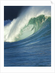 Wave, Waimea, North Shore, Hawaii by Anonymous