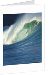 Wave, Waimea, North Shore, Hawaii by Anonymous
