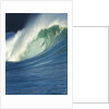 Wave, Waimea, North Shore, Hawaii by Anonymous