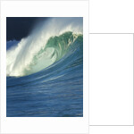 Wave, Waimea, North Shore, Hawaii by Anonymous