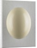 Egg by Anonymous