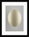 Egg by Anonymous