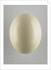 Egg by Anonymous