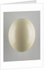 Egg by Anonymous