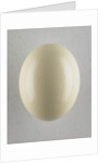 Egg by Anonymous
