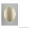 Egg by Anonymous