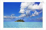 Idyllic atoll in the Maldives by Anonymous