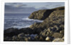 coastline near Gallan Head by Anonymous