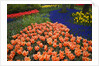 Mass plantings of tulips in Keukenhof Gardens by Anonymous