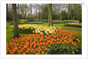 Tulips in Keukenhof Gardens by Anonymous