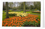Tulips in Keukenhof Gardens by Anonymous