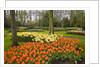 Tulips in Keukenhof Gardens by Anonymous