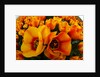 Orange tulip fields in North Holland in the Netherlands by Anonymous