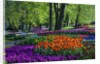 Tulips and hyacinth in Keukenhof Gardens by Anonymous