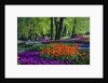 Tulips and hyacinth in Keukenhof Gardens by Anonymous